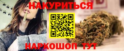 стаф Донской