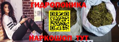 стаф Донской