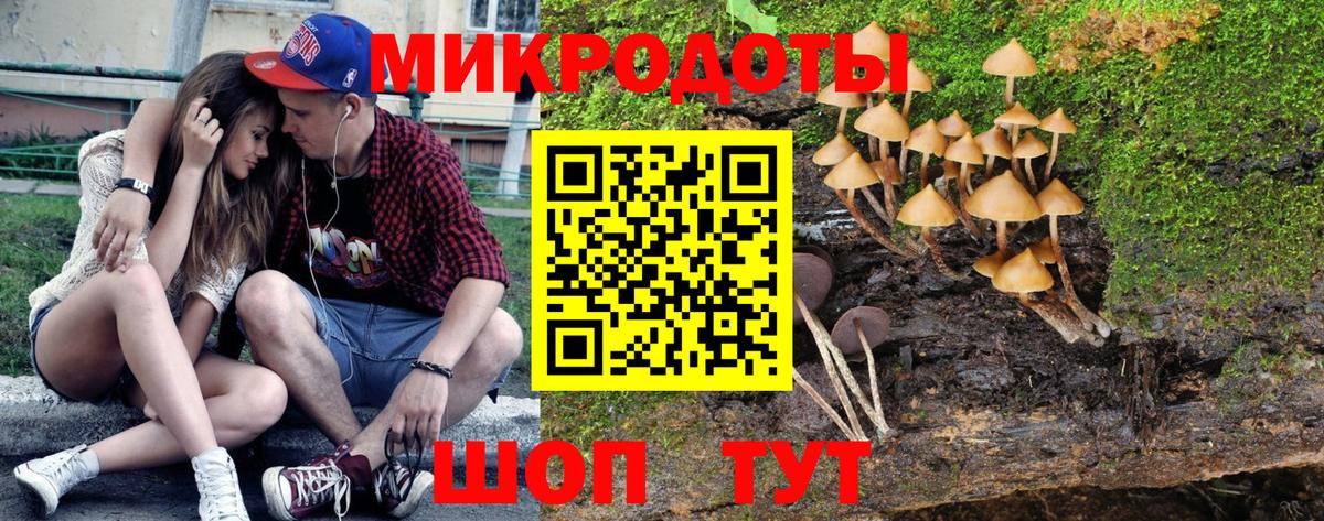 Галлюциногенные грибы Psilocybe  Галлюциногенные грибы мухоморы  Лыткарино  Вход с VPN 